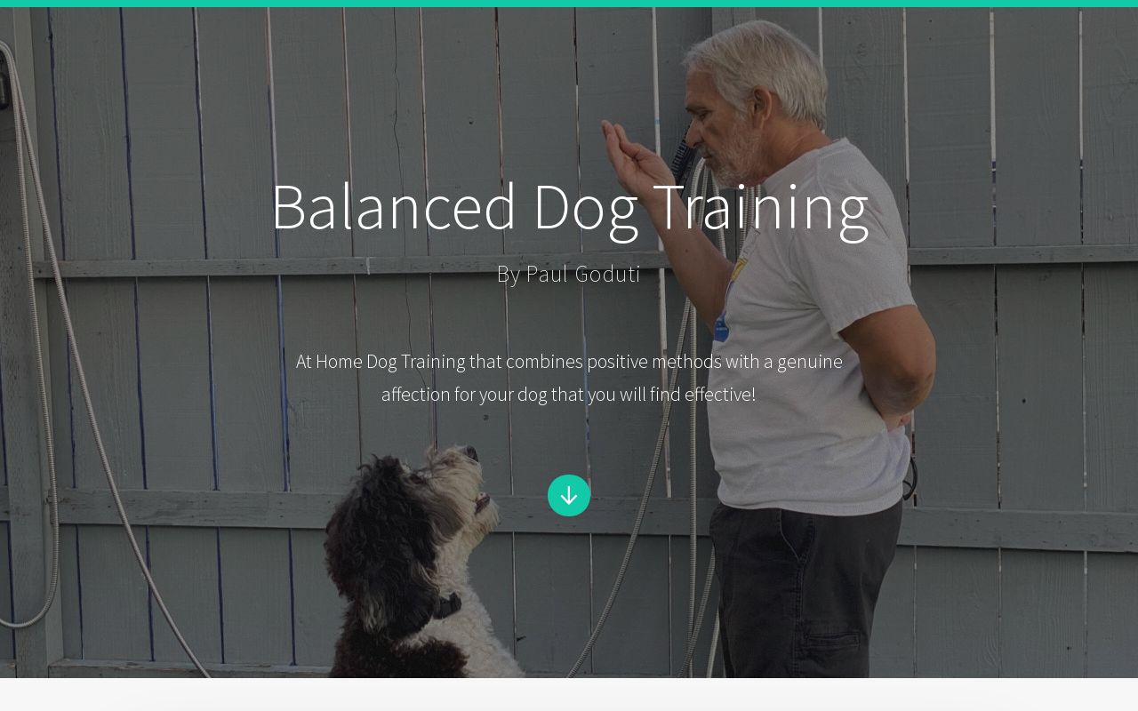 Balanced Dog Training