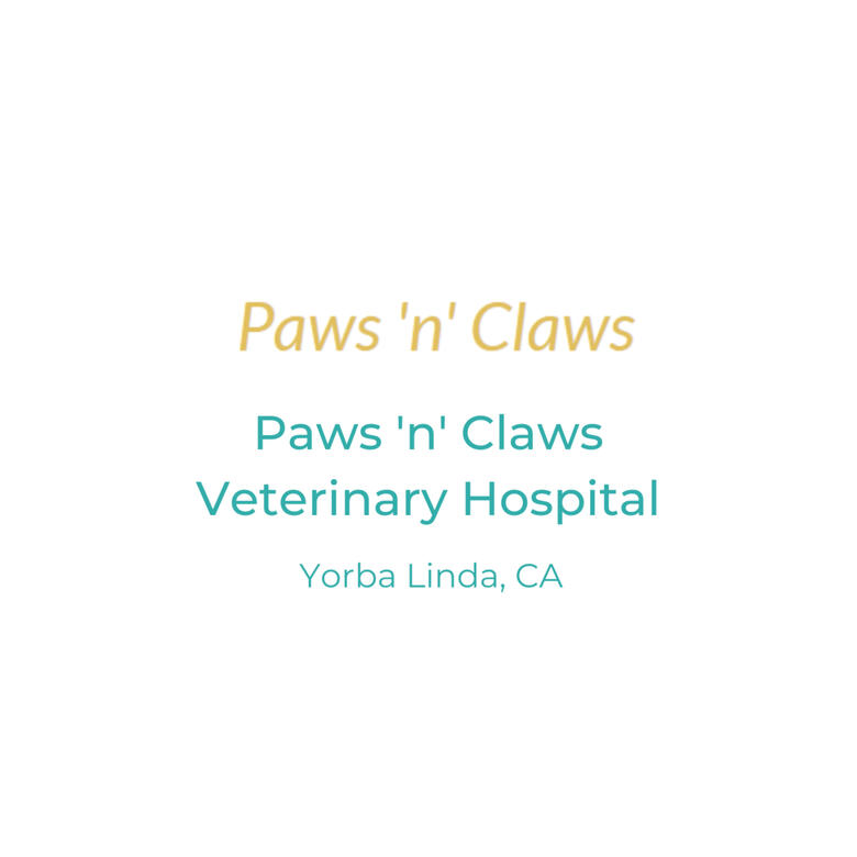 Paws 'n' Claws Veterinary Hospital