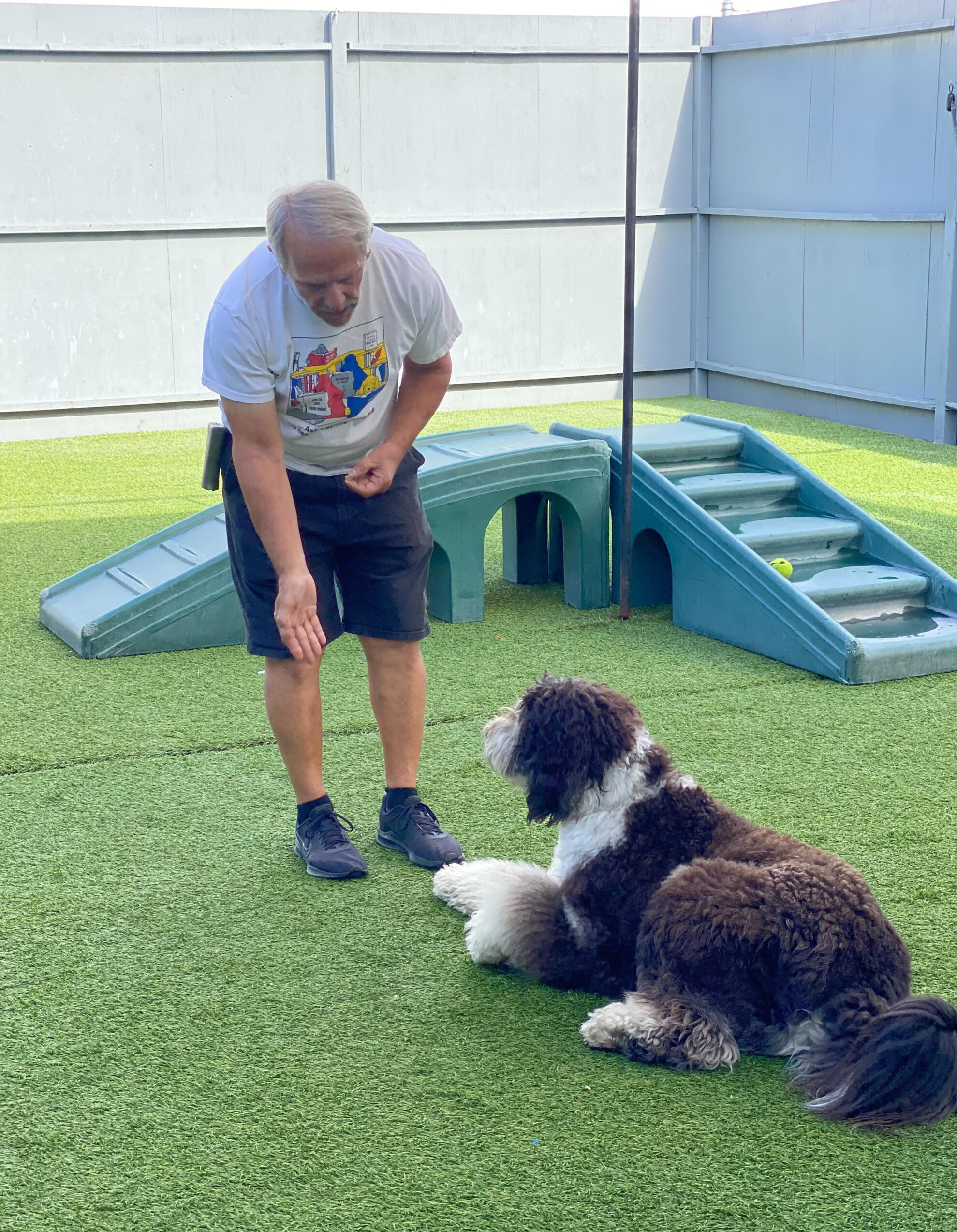 Balanced Dog Training